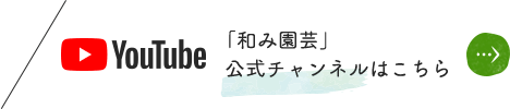 「和み園芸」公式チャンネルはこちら